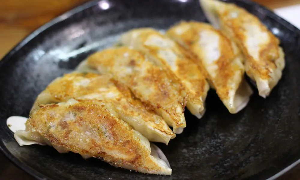 Pan-fried gyoza dumplings with crispy golden edges on a black plate at Tokyo Express, a Japanese Restaurant in Greenville
